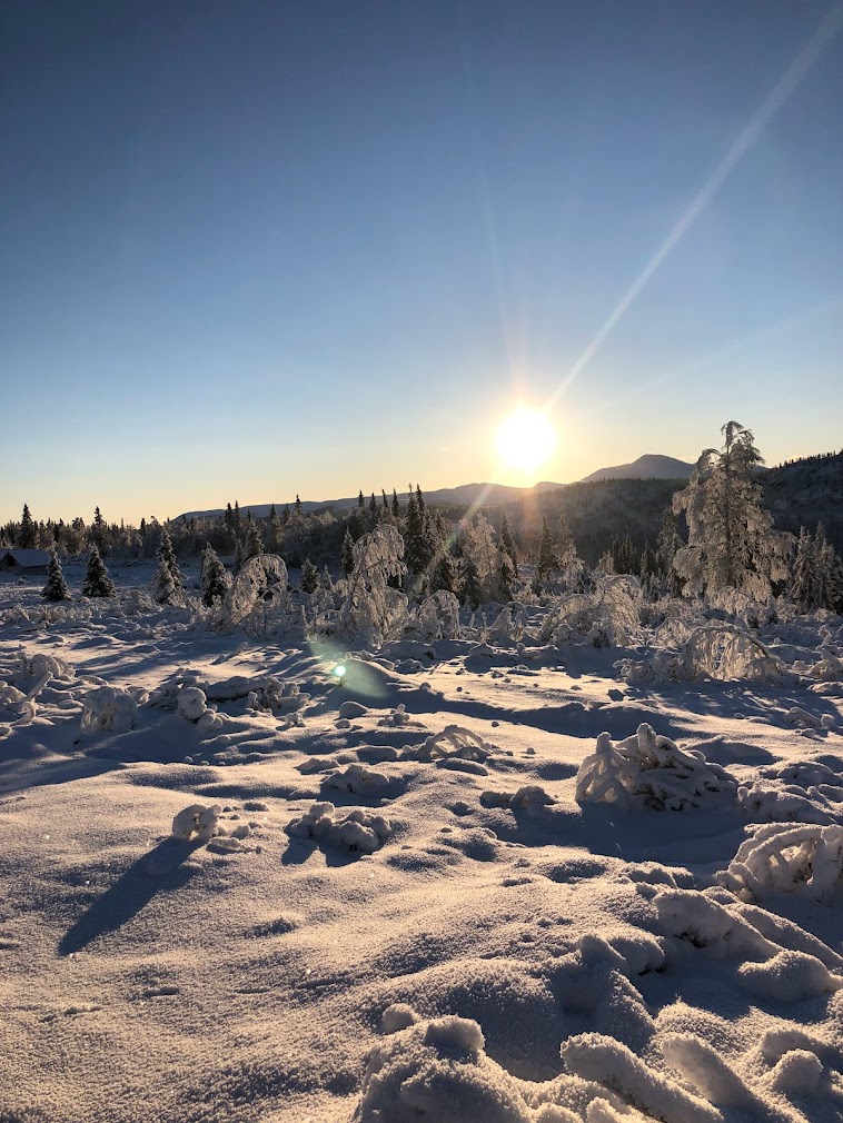 Sætervangen vinterstid